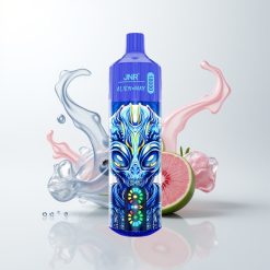 JNR Alien Max 18000 Züge Blaubeere Auf Eis Dual Mesh Coil Typ-C Schnellladung LED Display