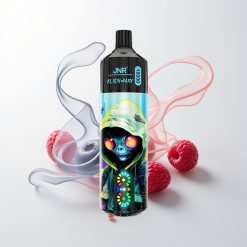 JNR Alien Max 18000 Züge Blaubeere Himbeere Dual Mesh LED Typ-C 28ml