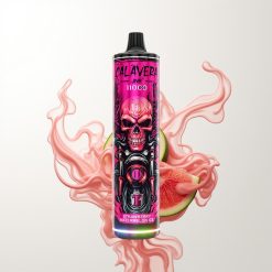 JNR Calavera 11000 Puffs Erdbeer Wassermelone Eis Typ-C 850mAh 21ml 1.0ohm Mesh