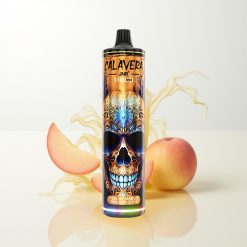 JNR Calavera 11000 Puffs Pfirsich Mango Ananas Eis Typ-C 850mAh 21ml 1.0ohm Mesh