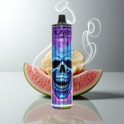 JNR Calavera 11000 Puffs Schwarz Eis Typ-C 850mAh 21ml 1.0ohm Mesh