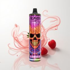 JNR Calavera 11000 Puffs Typ-C 850mAh 21ml 1.0ohm Erdbeere Himbeere Kirsche Eis