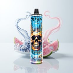 JNR Calavera 11000 Züge Blaubeer-Eis Typ-C Ladeanschluss 850mAh 21ml 1.0ohm Mesh