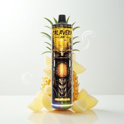 JNR Calavera 11000 Züge Typ-C 850mAh 21ml 1.0Ω Netzspule Ananas-Eis