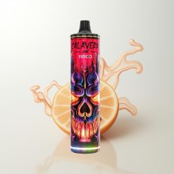 JNR Calavera 11000 Züge Typ-C 850mAh 21ml 1.0ohm Mesh 0%2%5% Nikotin