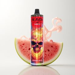 JNR Calavera 11000 Züge Wassermelone Eis Typ-C Aufladung 850mAh 21ml 1.0ohm Mesh