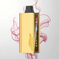 JNR Cruiser 12000 Züge Trauben Eis No-Charge Einweg-Vape mit 3500 mAh Akku 25ml E-Liquid 1.2ohm Dual Mesh Coil Animation Bildschirm