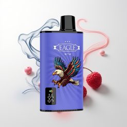 JNR EAGLE Smart 23000 Puffs Digital Mesh Heidelbeere Himbeere Kirsche Typ-C Luftstrom