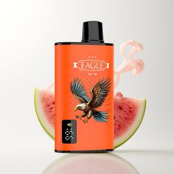 JNR EAGLE Smart 23000 Puffs Wassermelone Eis Digital Screen 1.0ohm Mesh Coil Adjustable Airflow 750mAh 25ml 2%
