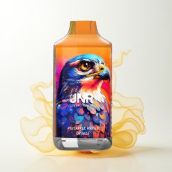 JNR Falcon 16000 Züge Ananas Mango Orange 850 mAh 22ml Dual Mesh Coil Typ C & Lightning Smart LED 0% 2%