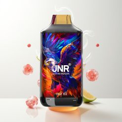 JNR Falcon 16000 Züge Cola Eis 850 mAh 22ml Dual Mesh Coil Typ C & Lightning Smart LED Display 0%,2%