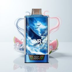 JNR Falcon Pro 28000 MTL Heidelbeer-Eis Dual Mesh Smart Display