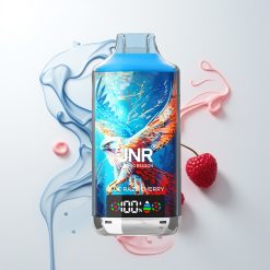 JNR Falcon X 18000 Züge Blaue Himbeere Kirsche Dual Mesh Coil Digitalanzeige Typ-C Schnellladung