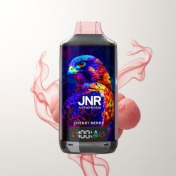 JNR Falcon X 18000 Züge Kirsch-Beere 750mAh 24ml Dual Mesh Coil Digital Display Type-C Schnellladung 0%2%5%