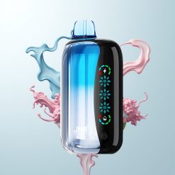 JNR Flex Ice 21000 Züge Blaue Kirsch-Explosion Eiskontrolle 26ml Berührungsdisplay Dual Mesh Typ-C