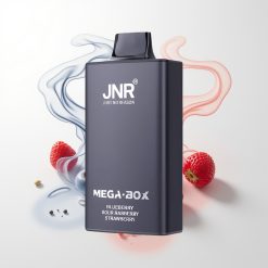 JNR Mega Box 25000 Züge Blauberry Sauer Himbeere Erdbeere 30ml 850mAh Dual Mesh Coil Typ-C 2% Nikotin