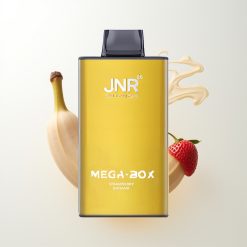 JNR Mega Box 25000 Züge Erdbeer Banane Doppel Mesh Typ-C 30ml 850mAh