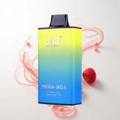 JNR Mega Box 25000 Züge Erdbeere Himbeere Eis Dual Mesh Typ-C 30ml 850mAh 2%
