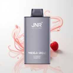 JNR Mega Box 25000 Züge Erdbeere Himbeere Kirsche Eis Typ-C Schnellladung Dual Mesh Coil