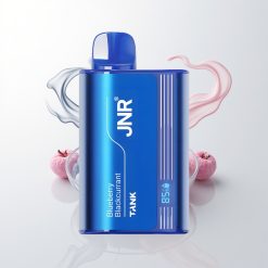 JNR Tank 10000 Züge Digital Display Dual Mesh Heidelbeere Schwarze Johannisbeere Typ-C Schnellladung