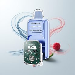 JNR VapeWatch 30000 Züge Dual Mesh Coil Blaue Himbeere Eis Type-C Schnellladung 1000mAh 19mL 5% Nikotin