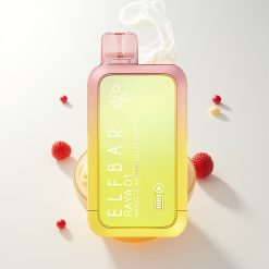 Elf Bar Raya D1 13000 Züge Mango Erdbeere Eiscreme Widerstandsfähigkeit 50mg/5% Typ-C Ladung 650mAh 18ml