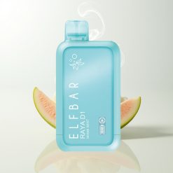 Elf Bar Raya D1 13000 Züge Miami Minze Display Typ-C Aufladung